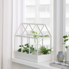 a window sill filled with plants next to a potted plant