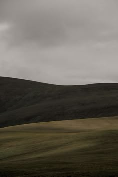 a lone tree in the middle of an open field with mountains in the background on a cloudy day