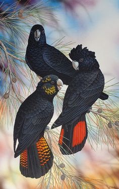 two black birds perched on top of a pine tree