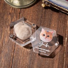 a cat's head is shown in a clear acrylic box on a wooden table