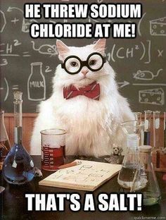 a white cat wearing glasses and bow tie sitting in front of a blackboard with chemical symbols