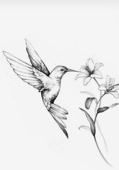 a drawing of a hummingbird flying over flowers