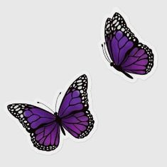 two purple butterflies flying next to each other