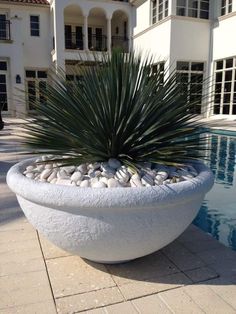 a large white planter sitting next to a swimming pool in front of a house