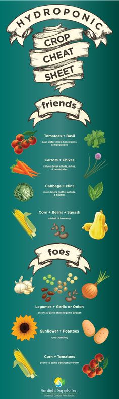 a poster with different types of food on it