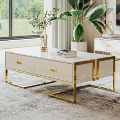 a living room with two tables and a plant in the middle on top of it