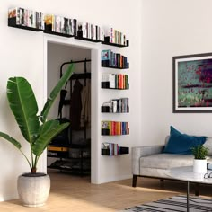 a living room filled with furniture and a book shelf next to a large potted plant