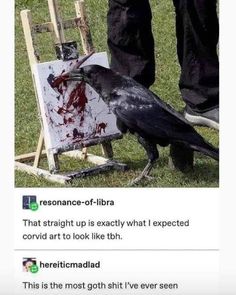 a black bird sitting on top of an easel next to a person's leg