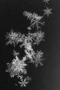 a black and white photo of snow flakes