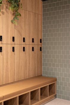 a wooden bench sitting in front of a wall filled with lockers and planters