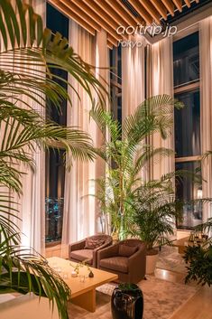 a living room filled with furniture and lots of windows next to a tall palm tree