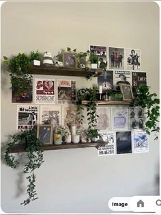 some plants and pictures are hanging on the wall