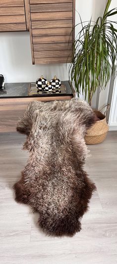 an animal skin rug on the floor next to a potted plant