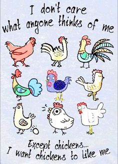 an image of chickens and roosters saying i don't care what anyone thinks of me