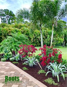 the garden is full of colorful flowers and trees