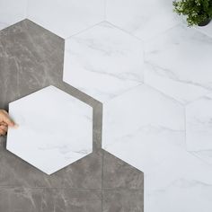 a person holding a piece of paper in front of some hexagons and plants