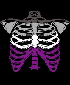 a skeleton with purple and grey ribbons on it's chest, in the shape of a ribcage