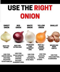 an onion chart with different types of onions