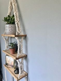 three shelves with plants and pictures on them