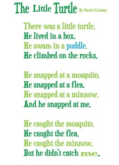 a poem written in green and blue with words below it that read, the little turtle