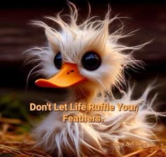 an adorable little bird sitting on top of dry grass with the caption don't let life ruffle your feathers