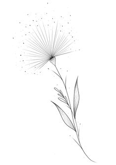 a black and white drawing of a dandelion