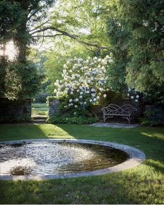 a small pond in the middle of a grassy area with white flowers growing on it