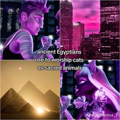 the egyptian pyramids are in purple and pink with text that reads ancient egyptns use to worship cats as sacred animals