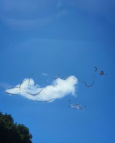 several kites are flying in the sky above some trees and blue skies with white clouds