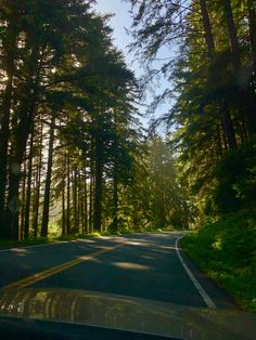 the sun shines through the trees on this road in the woods, as seen from inside a vehicle's windshield