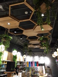 an instagram page with plants hanging from the ceiling