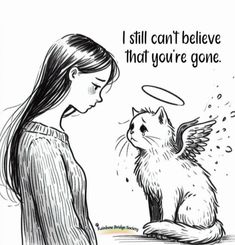 a girl is looking at a cat with an angel on it's head and the caption says, i still can't believe that you're gone