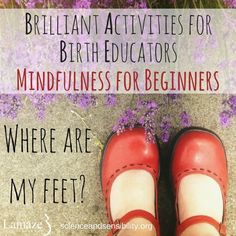 a pair of red shoes with the words brilliant activities for birth educators mindfuness for beginners where are my feet?