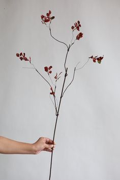 39 Fake Burgundy Leaf Branch, Decorative Plant Stem, Minimalist Style, High Quality Artificial Plant, Office/wedding/home Decoration/gifts - Etsy Plant Office, Artificial Branches, Wedding Home Decoration, Berry Fruit, Flower Arrangements Diy, Plant Stem, Faux Plants, Artificial Plants, Diy Flowers