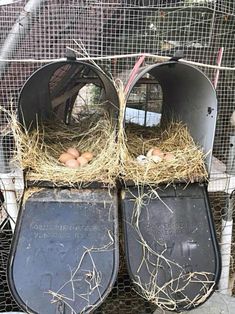 three chickens are sitting in their cages with hay and eggs on top of the chicken inclosure