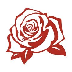 a red and white rose on a white background