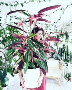 a woman holding a potted plant in her hands