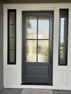 a black and white front door with two sidelights on the outside, and glass panels on the inside