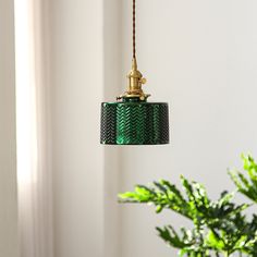 a green lamp hanging from a ceiling next to a potted plant