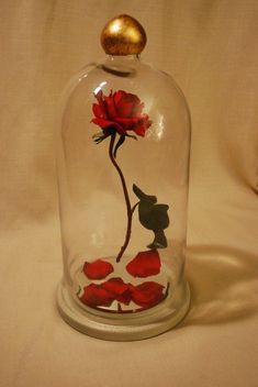 a glass bell jar with a red rose in it