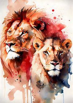 watercolor painting of two lions with red spots on their face and one lion's head