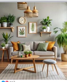 a living room filled with furniture and lots of plants