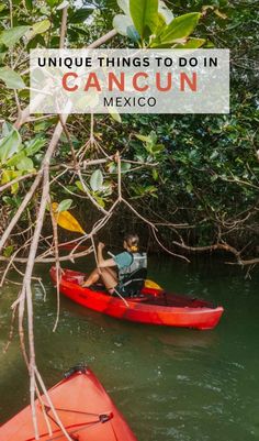 two kayakers in the water with text overlay reading unique things to do in cancun mexico