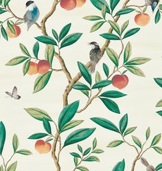 a wallpaper with birds and fruit on it, including oranges and green leaves