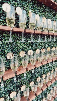 many wine glasses are lined up on a shelf in front of a wall covered with ivy