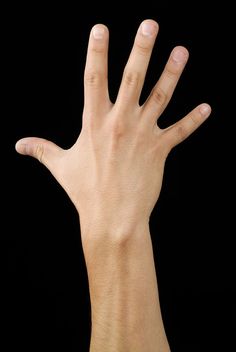 a person's hand reaching up towards the camera