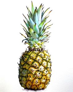 a painting of a pineapple on a white background