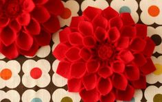 a red flower sitting on top of a brown and white table cloth covered in polka dots