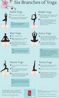 the six branches of yoga for beginners to learn their positions and how to do them