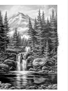 a black and white drawing of a waterfall in the woods with pine trees around it